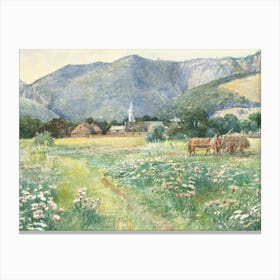 Mountain Pasture Canvas Print