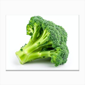Broccoli 6 Canvas Print
