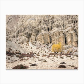 Yellow Tree In The Desert Canvas Print