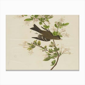 Bird Perched On A Branch 8 Canvas Print