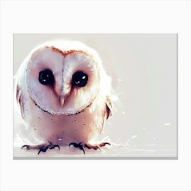 Barn Owl 14 Canvas Print