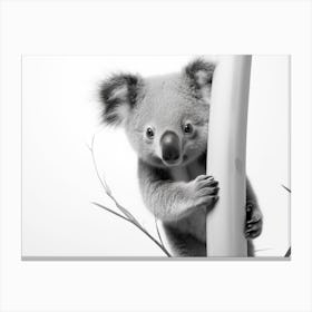 The Bashful Canvas Print