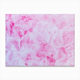 Pink Paint Texture Canvas Print