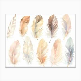Set Of Feathers Canvas Print