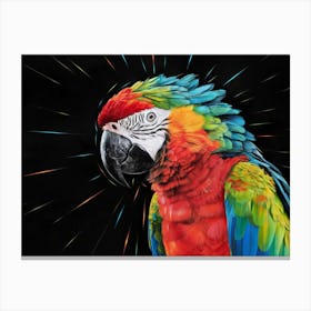 Colorful Parrot 2 Canvas Print