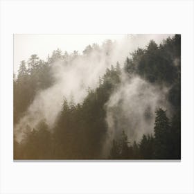 Misty Forest - Redwood National Park Nature Canvas Print