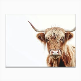 Highland Cow 5 Canvas Print