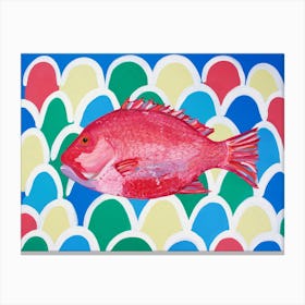 Red Snapper Canvas Print