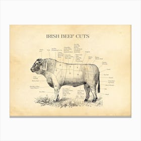 Irish Beef Cuts Butcher Chart Canvas Print