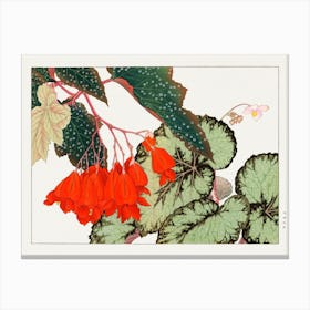Cracklin Rosie Begonia Flower Woodblock Painting Canvas Print