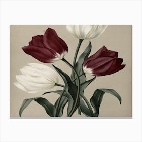 Three Tulips 1 Canvas Print