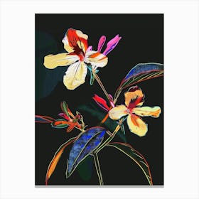 Neon Flowers On Black Impatiens 4 Canvas Print