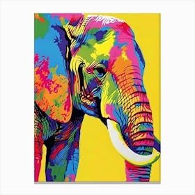 Colorful Elephant Canvas Print