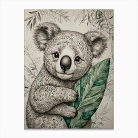 Koala Bear 14 Canvas Print