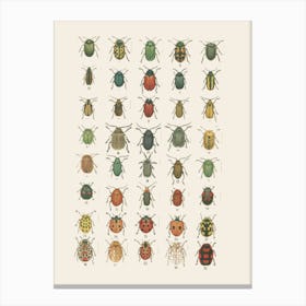 Ladybugs Canvas Print