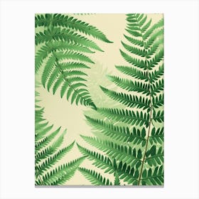 Pattern Poster Soft Shield Fern 1 Canvas Print