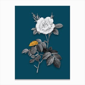 Vintage White Rose Black and White Gold Leaf Floral Art on Teal Blue n.0862 Canvas Print