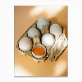 Eggs In A Carton 15 Canvas Print