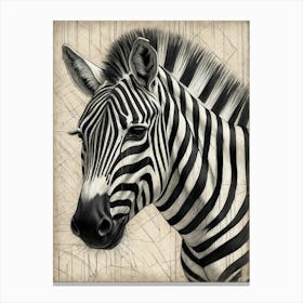 Zebra Canvas Print