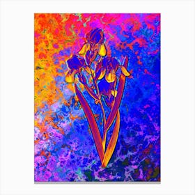 Elder Scented Iris Botanical in Acid Neon Pink Green and Blue n.0201 Canvas Print