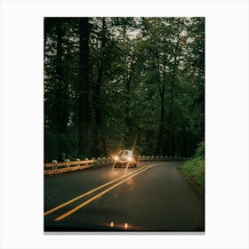 Headlights in the Forest Canvas Print