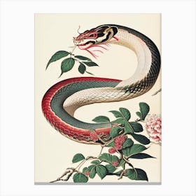 Chinese Cobra Snake Vintage Canvas Print