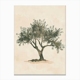 Olive Tree Minimal Japandi Illustration 3 Canvas Print