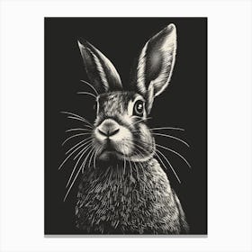 Blanc De Hotot Blockprint Rabbit Illustration 3 Canvas Print