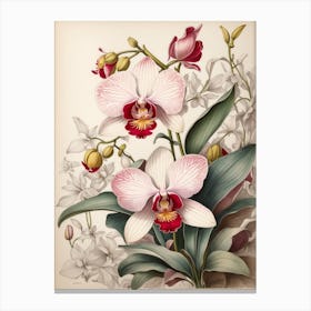 Orchids 6 Canvas Print