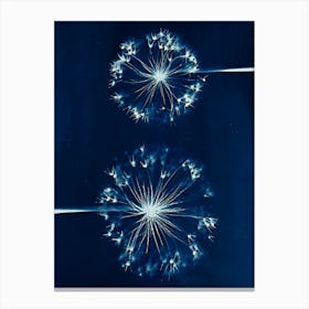 Dandelions Canvas Print