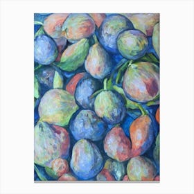 Cantaloupe Classic Fruit Canvas Print