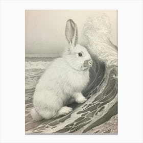 English Angora Rabbit Drawing 3 Canvas Print