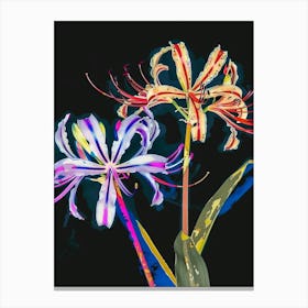 Neon Flowers On Black Agapanthus 3 Canvas Print
