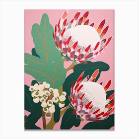 Proteas Flower Big Bold Illustration 1 Canvas Print
