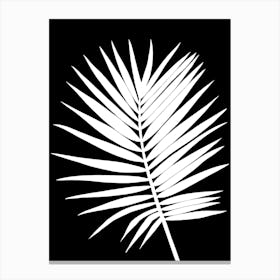 White Palm Leaf On Black Background Canvas Print