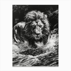 Barbary Lion Charcoal Drawing Crossing A River 2 Canvas Print