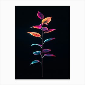 Colorful Leaves On A Black Background Canvas Print