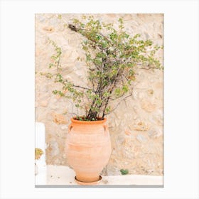 Greece Still Life Canvas Print