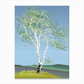 Birch Tree In The Wind Canvas Print