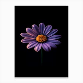 Purple Daisy 2 Canvas Print