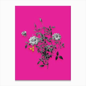 Vintage Dwarf Rosebush Black and White Gold Leaf Floral Art on Hot Pink n.0552 Canvas Print