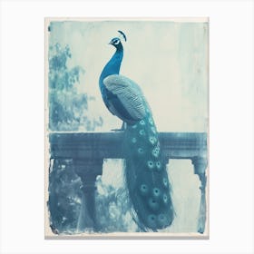 Vintage Peacock On A Banister Cyanotype Inspired 4 Canvas Print