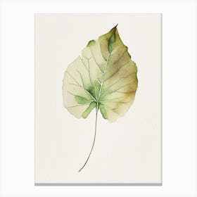 Malva Leaf Minimalist Watercolour Canvas Print