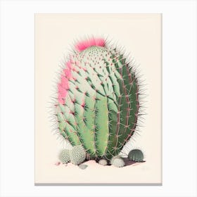 Acanthocalycium Cactus Retro Drawing 2 Canvas Print