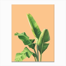 Banana Leaves 36 Canvas Print