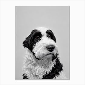 Portuguese Water Dog B&W Pencil dog Canvas Print