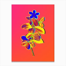 Neon Gardenia Botanical in Hot Pink and Electric Blue n.0554 Canvas Print