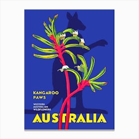 Australia, Kangaroo Paws Canvas Print