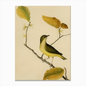 Yellow Warbler Canvas Print