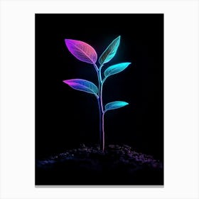 Neon Plant On Black Background 2 Canvas Print